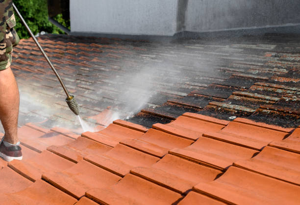 Best Pressure Washing Near Me  in Orange City, FL
