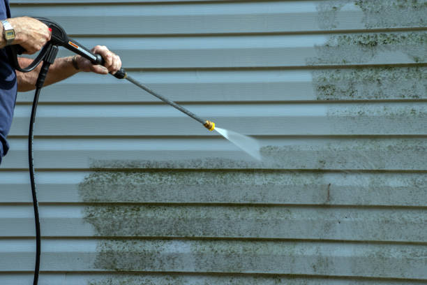 Best House Pressure Washing  in Orange City, FL